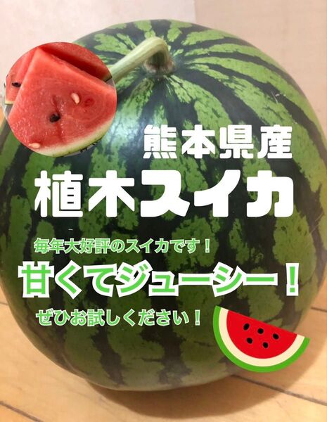 甘くてジューシー!熊本県産◎本場の植木から!羅皇ザスウィート!すいか1玉Lサイズ(送料無料)