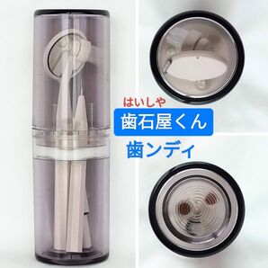 歯石屋くん歯ンディ■はいしやくんデンタルミラーピックブラシクリーナーコンパクトセットケース付マインドアップ