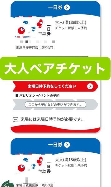関西万博 大阪万博 大人ペア チケット 電子 入場券 入場チケット EXPO2025 一日券