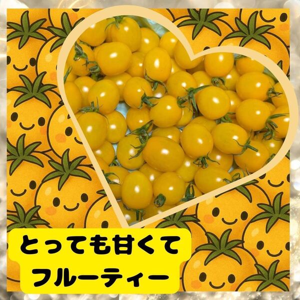 高糖度イエローミニトマト 1kg
