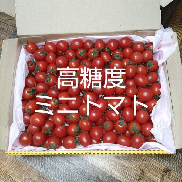 高糖度ミニトマト 1kg入り