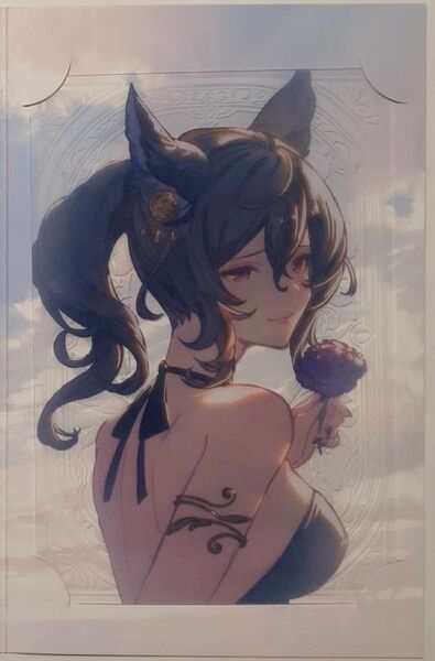 イルザ 2025 バレンタイン お返し グラブル 色紙 ポストカード グランブルーファンタジー 手紙 ポラロイド