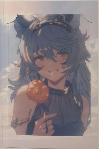 カンターテ 2025 バレンタイン お返し グラブル 色紙 ポストカード グランブルーファンタジー 手紙 ポラロイド