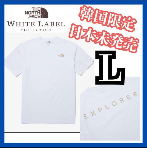 ノースフェイス DELUZ TEE EXPLORER Tシャツ ホワイト 白 L THE NORTH FACE 半袖