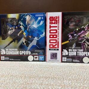 ROBOT魂 ガンダム試作1号機フルバーニアンGP-01FB & ドム・トローペン