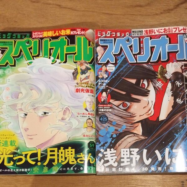 ビッグコミックスペリオール 2025年5月9日号4月25日号 (小学館)9号10号 2冊