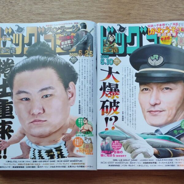 ビッグコミック 2025年5月25日号5月10日号 (小学館)2冊
