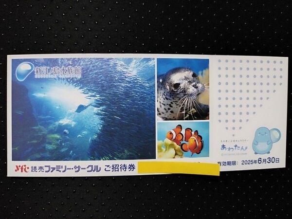 新江ノ島水族館 ご招待券