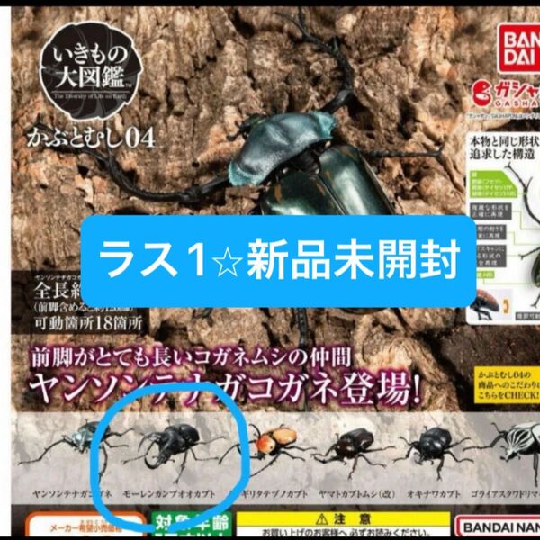 【新品未開封】いきもの大図鑑 カブトムシ04 ガチャガチャ カプセルトイ BANDAI バンダイ