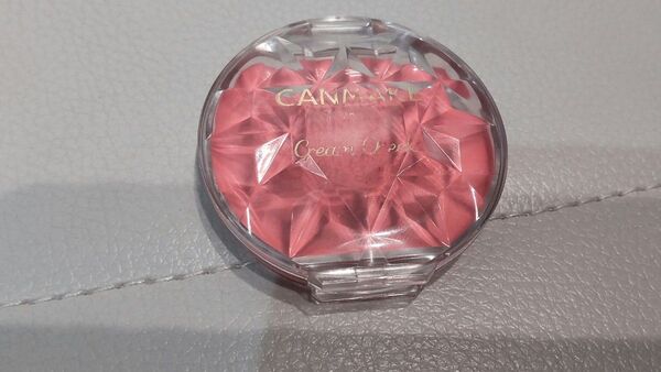 CANMAKE キャンメイク クリームチーク 05