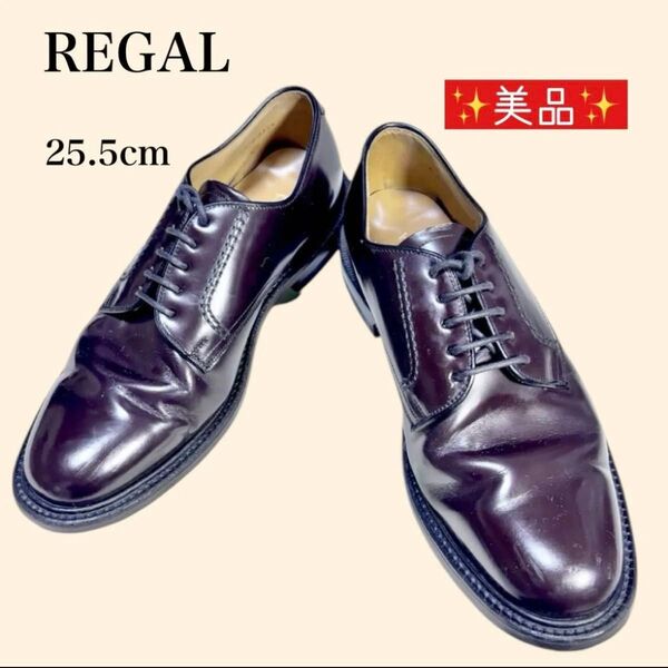 REGAL リーガル ビジネスシューズ 革靴 レザ- 紳士靴 ダークブラウン美品 2504