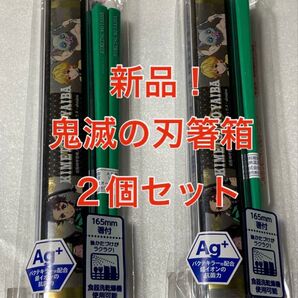 新品・未使用品!引フタ箸箱 2個セット キャラクターランチシリーズ 鬼滅の刃イラスト! お弁当用 箸箱セット