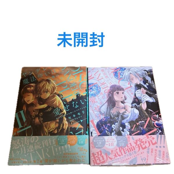 【未開封】ヤンデレ魔法使いは石像の乙女しか愛せない