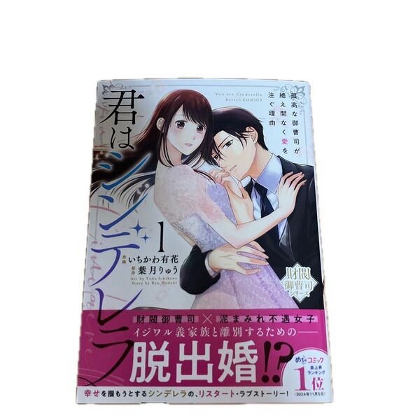 君はシンデレラ~孤高な御曹司が絶え間なく愛を注ぐ理由~