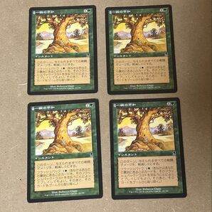 MTG 一瞬の平和 日本語 4枚