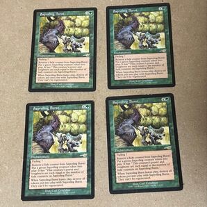 MTG はじける子嚢 Saproling Burst 英語 4枚
