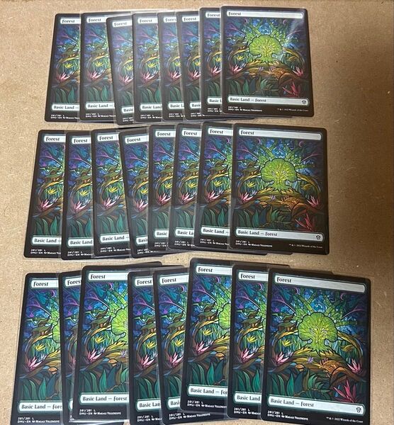 MTG 森 Forest 英語 DMU Dominaria United ショーケース Showcase 24枚