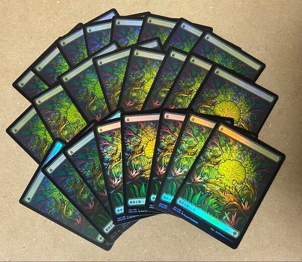MTG 森 Foil フルアート ショーケース 日本語 DMU 団結のドミナリア 24枚 基本土地