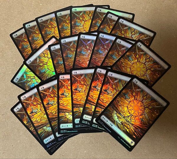 MTG 平地 Foil フルアート ショーケース 日本語 DMU 団結のドミナリア 24枚 基本土地
