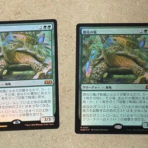 MTG 開花の亀 日本語 foil プロモ 2枚