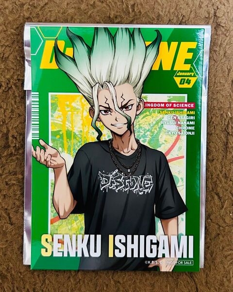 Dr.STONE ドクターストーン ドクスト 特典 ブロマイド 千空