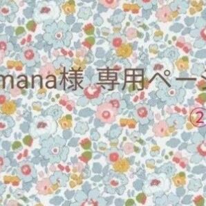 専用ページ