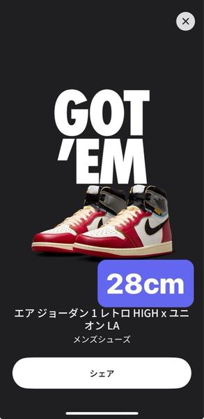 UNION × Nike Air Jordan 1 Retro High OG "Chicago/Shadow"