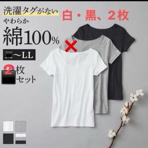 グンゼ 綿100% インナー レディース 2枚組 コットン100% 半袖 GUNZE
