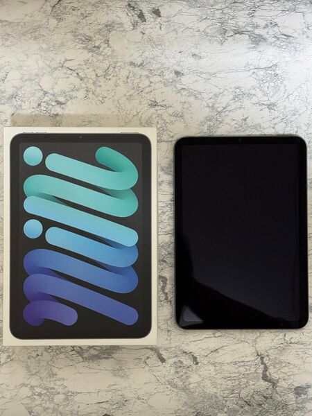 【美品】iPad mini Wi-Fi 64GB スペースグレイ 2021年モデル