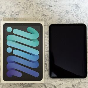 【美品】iPad mini Wi-Fi 64GB スペースグレイ 2021年モデル