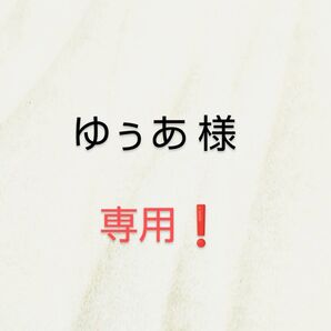 【専用!】ウマ娘 アグネスタキオン& ナイスネイチャ イラスト & 勝負服【A4ポスター×4枚】