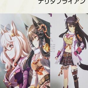 034【額装】ウマ娘 ナリタブライアン A4ポスター×2枚 &額1枚セット(イラスト&勝負服)