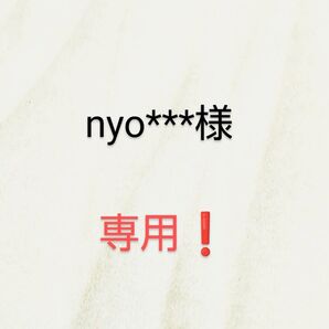 【専用】ジョジョの奇妙な冒険 承太郎・イギー ・歴代主人公& 徐倫・ブチャラティ 【額装両面・A4ポスター×2枚セット】