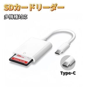 Type-C SDカードリーダー iPhone タイプC USB-C パソコン カードリーダー メモリーカードリーダー