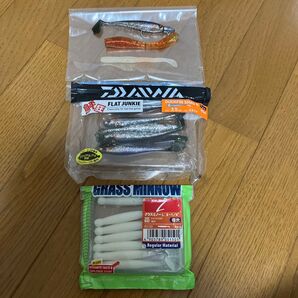 グラスミノーL 3-1/4 / フラットジャンキー 3.5 インチ / 不明ワーム セット