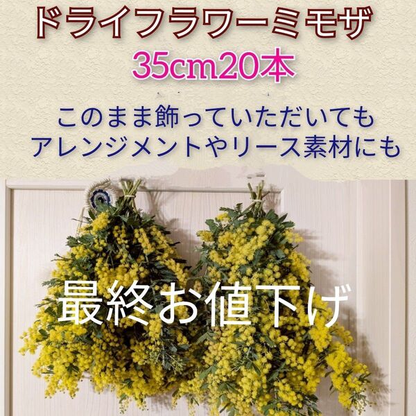 ドライフラワーミモザ35cm20本