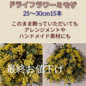 ドライフラワーミモザ25〜30cm
