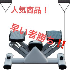 ステッパー 静音 健康 足踏み 有酸素運動 室内運動 エクササイズ 脂肪燃焼 健康ステッパー 健康器具 ナイスデイ ギフト