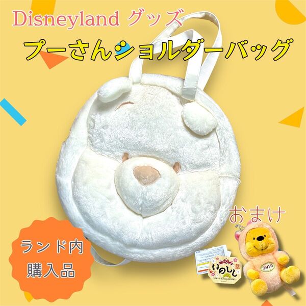 ディズニー くまのプーさん ビッグフェイスバッグ ふわふわ ホワイト レア 2019年 亥年ぬいぐるみ ディズニーランド限定商品