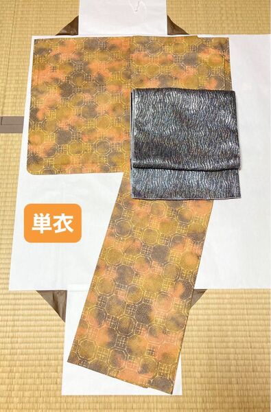 小紋 正絹 単衣 蜀江文様 鮫小紋 点描 暈し双 鳳文 泥染調 双鳳大島 美品 着丈158 裄丈66