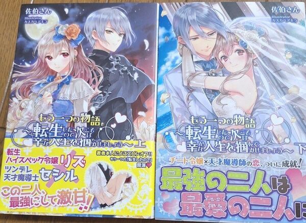 もう一つの物語 転生したので次こそは幸せな人生を掴んでみせましょう 上下2冊セット