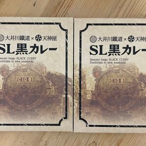 大井川鐵道×天神屋 SL黒カレー 2個セット 静岡限定 ご当地カレー イカ墨 おむすび しぞーかおでんの天神屋 機関車 トーマス