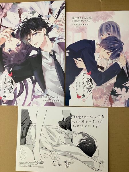 執愛サイケデリカ 特典のみ