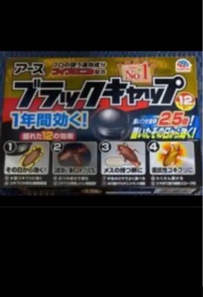 食いつき抜群2.5倍タイプ アース ブラックキャップ12個 ゴキブリ対策 30日以内に購入した最新の品