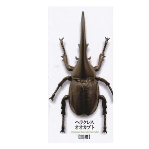 海洋堂 カプセルQ ミュージアム リアル昆虫立体図鑑 カブトムシ編 甲虫の王様 カブトムシ大全 ヘラクレスオオカブト 黒翅 フィギュア