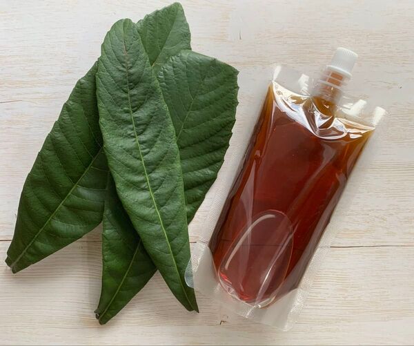 【200ml】びわの葉エキス びわエキス 枇杷の葉 オーガニック 無添加 農薬不使用 虫除けスプレー クーポン利用 クーポン