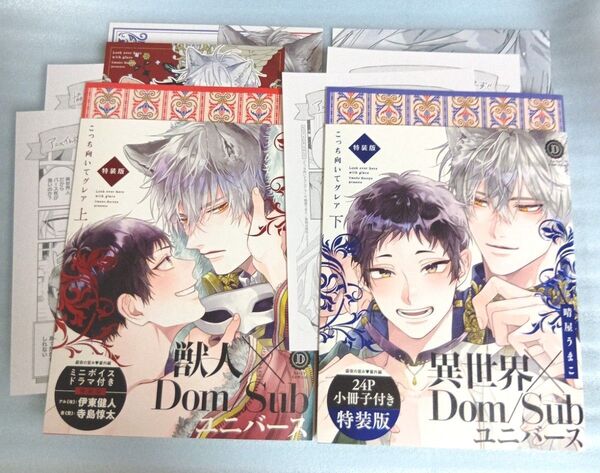 こっち向いてグレア 上下 特装版 晴屋うまこ 小冊子付き