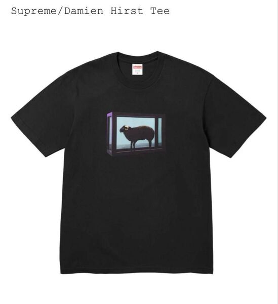 Supreme Damien Hirst Tee 25ss シュプリーム Black 黒 XL