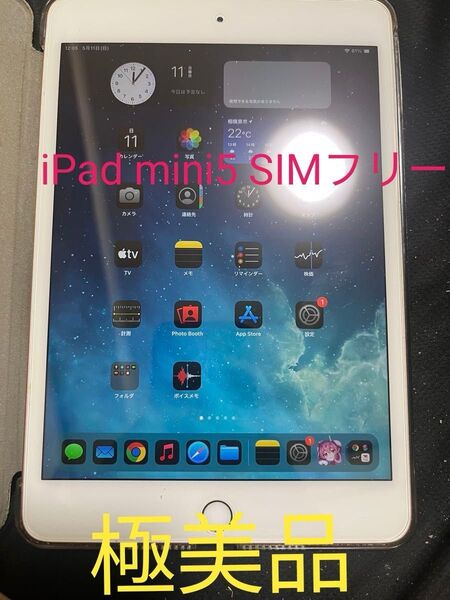 iPad mini5(第5世代) 64GB Cellular ゴールド SIMフリー