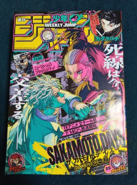 ※ジャンプチケットラリー応募券切り取り済み!! 週刊少年ジャンプ 2025年6月2日号 (集英社)